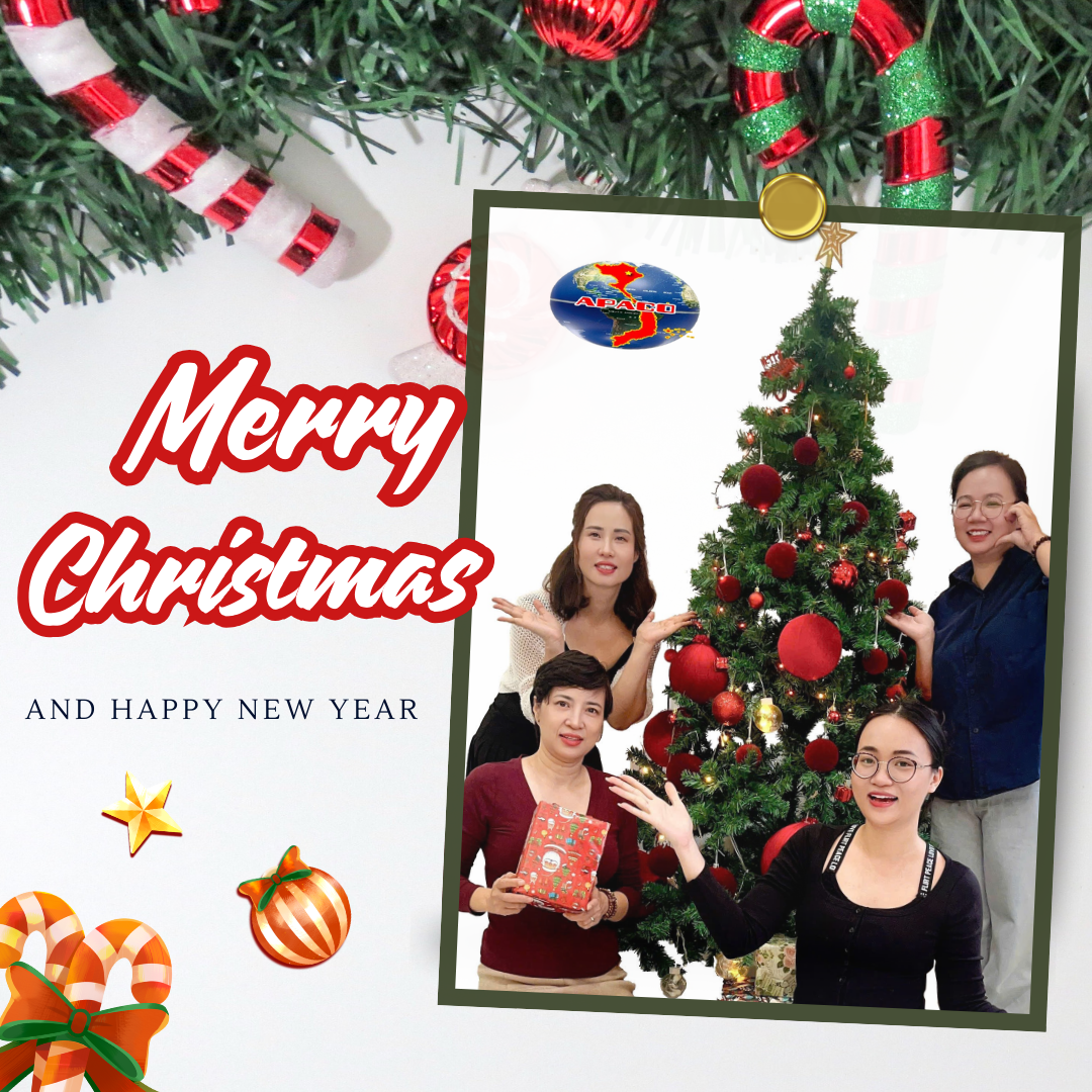 MERRY CHRISTMAS & HAPPY NEW YEAR 